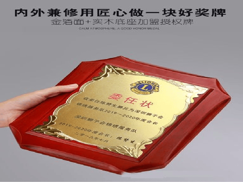 房地产行业案例